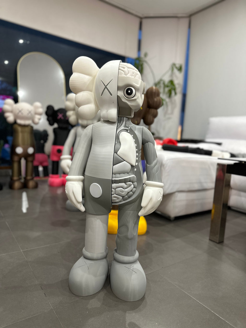 Gallery Anatomy Grey