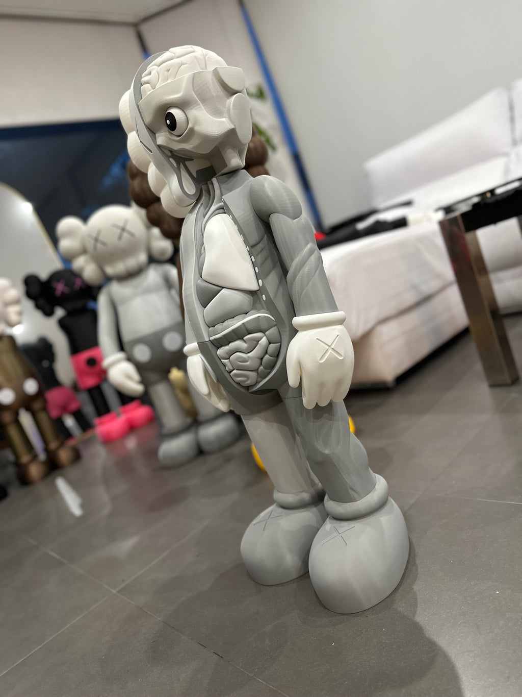 Gallery Anatomy Grey