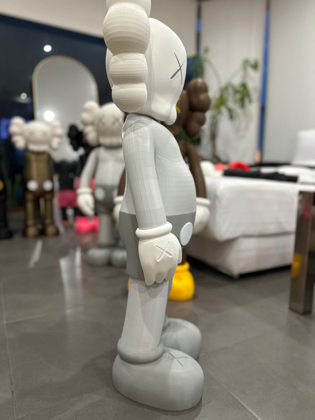 Gallery Anatomy Grey