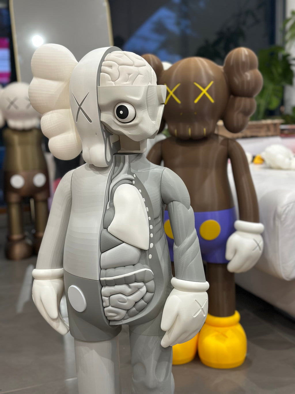Gallery Anatomy Grey