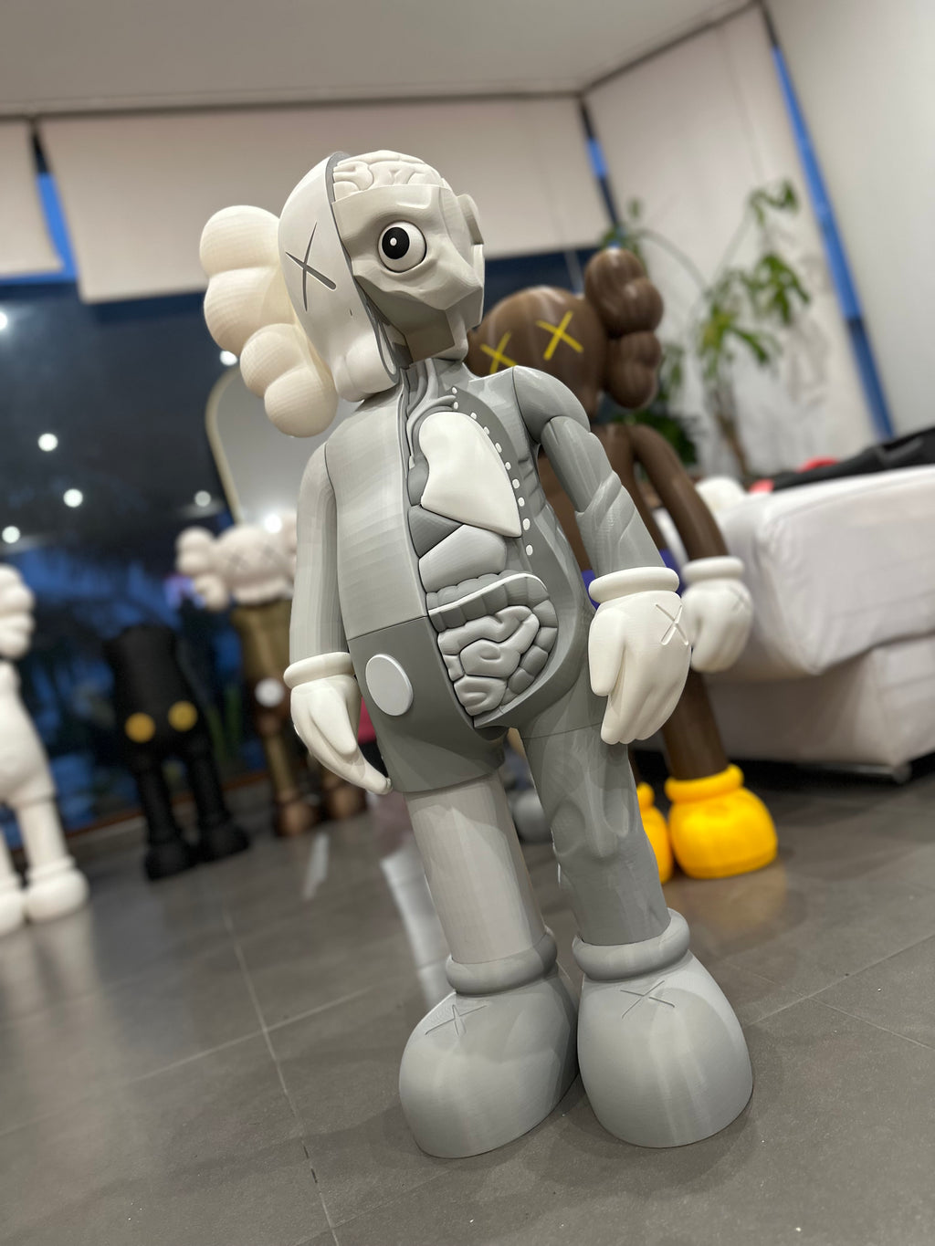 Gallery Anatomy Grey