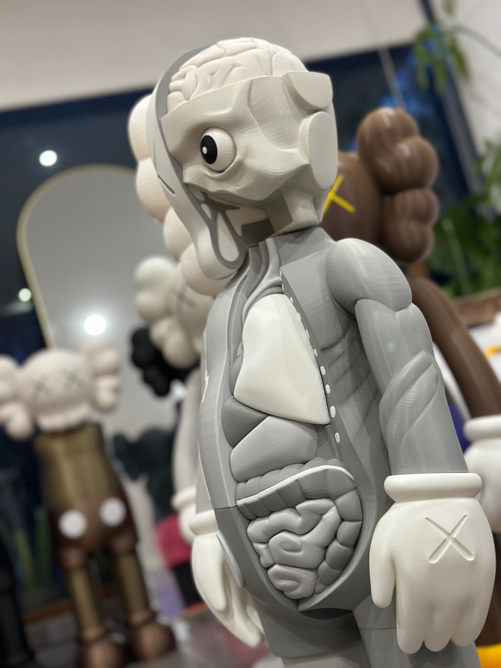 Gallery Anatomy Grey